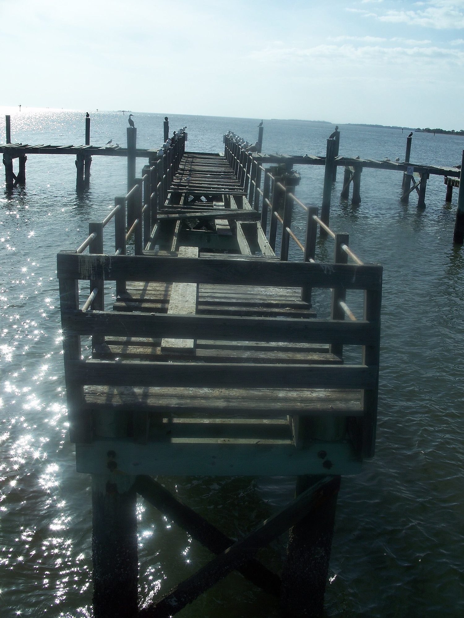 Cedar Key Florida Atsena Otie bdwk